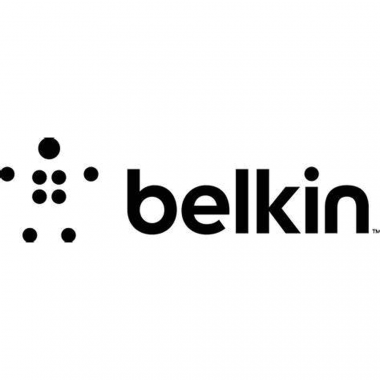 24-01-cat-belkin.png