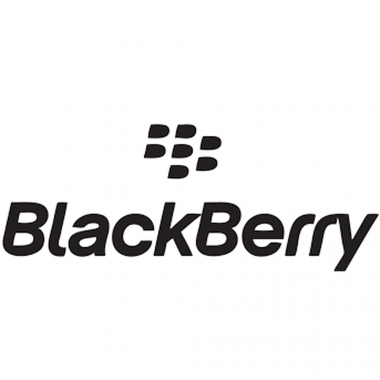 24-01-cat-blackberry.png