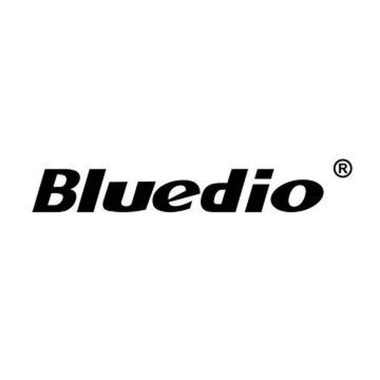 24-01-cat-bluedio.png