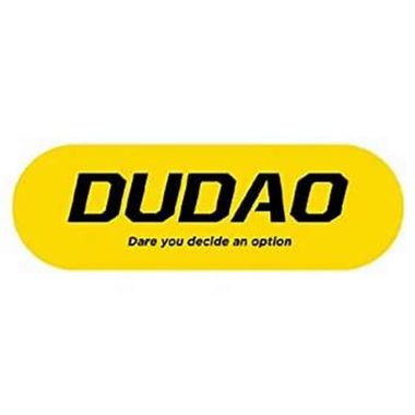 24-01-cat-dudao.png