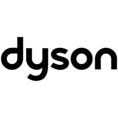 24-01-cat-dyson.png