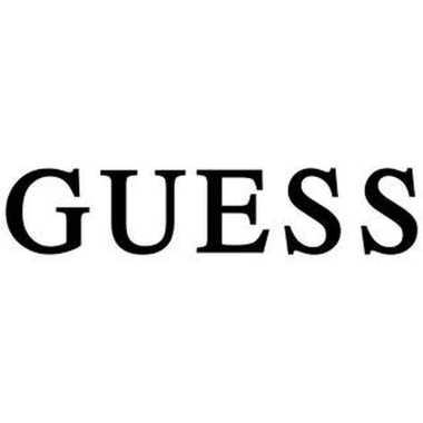 24-01-cat-guess.png