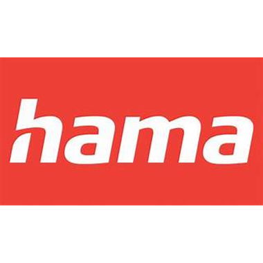 24-01-cat-hama.png