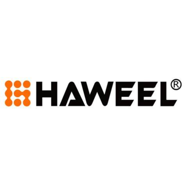 24-01-cat-haweel.png