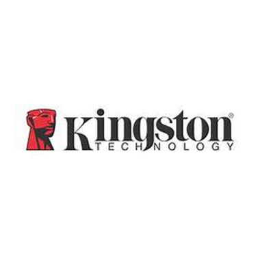 24-01-cat-kingston.png