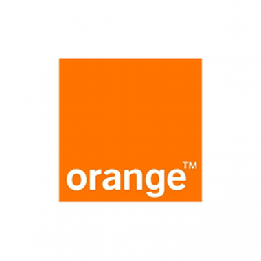 24-01-cat-orange.png