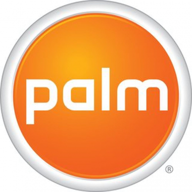 24-01-cat-palm.png