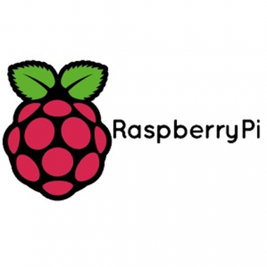 24-01-cat-raspberry-pi.png