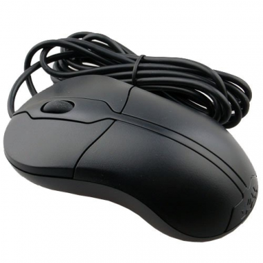 24-01-cat-souris.png