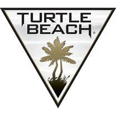 24-01-cat-turtle-beach.png