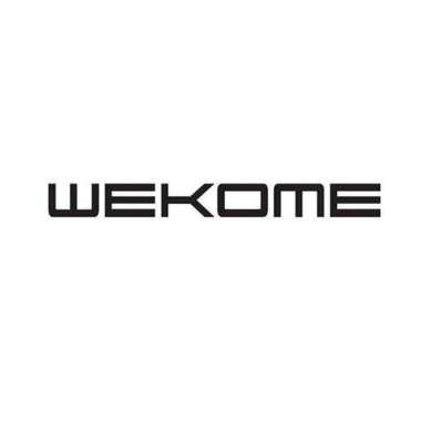 24-01-cat-wekome.png
