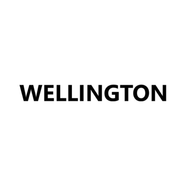 24-01-cat-wellington.png