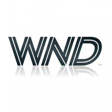 24-01-cat-wnd.png