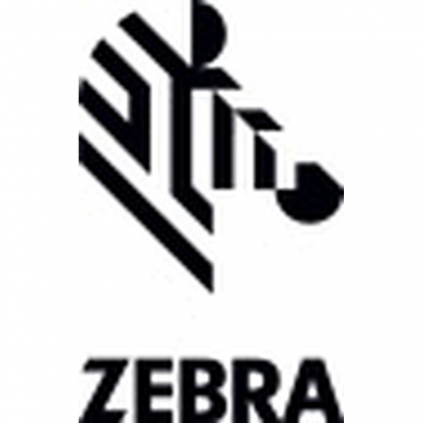 24-01-cat-zebra.png