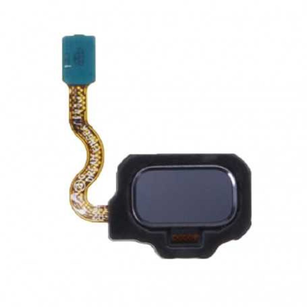 24-01-nappe-connexion-lecteur-d-empreinte-orchidee-pour-samsung-galaxy-s8-g950f.jpg