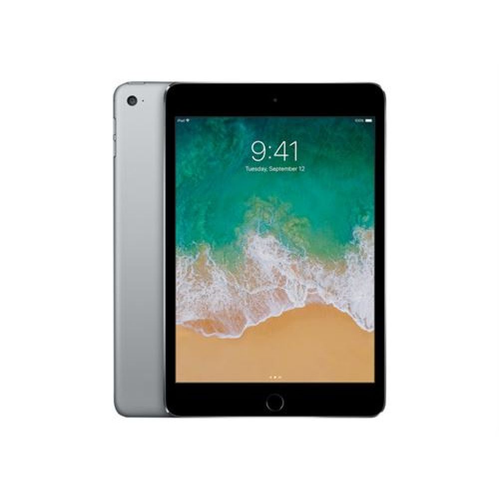 24-03-apple-ipad-mini-gris-sideral-16-go-wifi-plus-cellular-reconditionne-grade-a.jpg