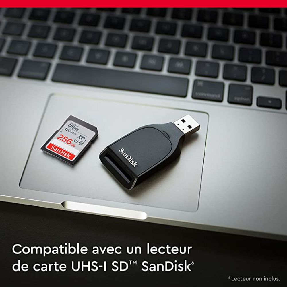 24-04-sandisk-ultra-256-go-sdxc-sdsdun4-256g-gn6in-neuf.jpg