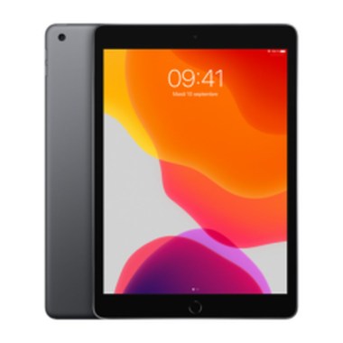 24-01-apple-ipad-10-2-pouces-7e-gen-2019-32-go-a2197-wifi-gris-sideral.jpg