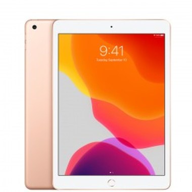 24-01-apple-ipad-10-2-pouces-7e-gen-2019-32-go-a2197-wifi-or.jpg