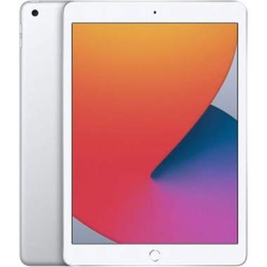 24-01-apple-ipad-10-2-pouces-8e-2020-a2270-32go-wifi-argent.jpg