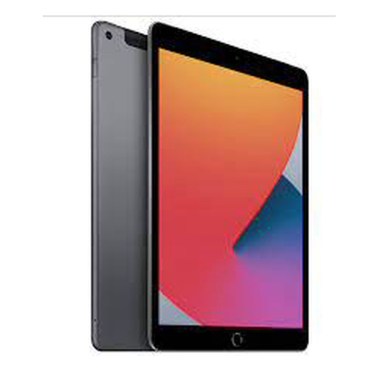 24-01-apple-ipad-10-2-pouces-8e-gen-2020-a2429-128-go-wifi-4g-gris-sideral-cellular.jpg