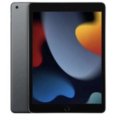 24-01-apple-ipad-9e-gen-2021-256-go-10-2-pouces-wifi-plus-cellular-gris-sideral.jpg