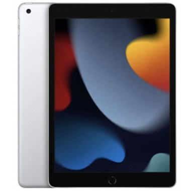 24-01-apple-ipad-9e-gen-2021-64-go-10-2-pouces-wifi-argent.jpg