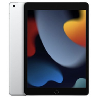 24-01-apple-ipad-9e-gen-2021-64-go-10-2-pouces-wifi-plus-cellular-argent.jpg