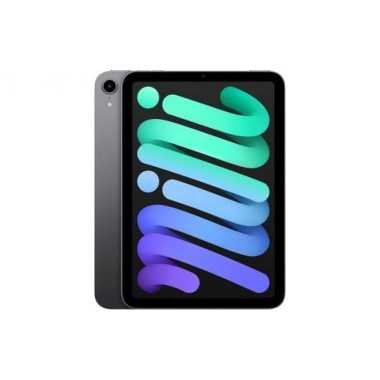 24-01-apple-ipad-mini-5-gris-sideral-256-go-wifi-reconditionne-grade-a.jpg