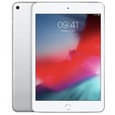 24-01-apple-ipad-mini-7-9-pouces-5e-gen-64-go-a2133-wifi-argent.jpg