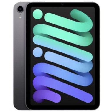 24-01-apple-ipad-mini-8-3-pouces-ipad-mini-8-3-pouces-6e-gen-2021-64gb-a2567-wifi-gris-sideral.jpg