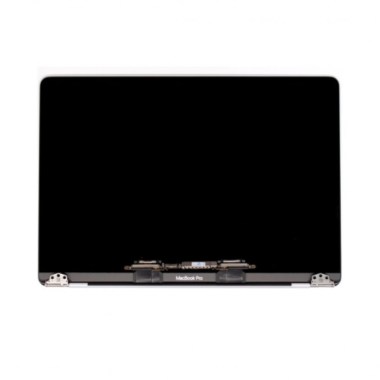 24-01-ecran-lcd-complet-apple-macbook-pro-15p-2018-2019-argent-a1990-reconditionne-grade-aplus.jpg