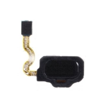 24-01-nappe-connexion-lecteur-d-empreinte-noir-pour-samsung-galaxy-s8-g950f.jpg