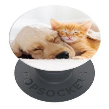 24-01-popsocket-chat-chien.jpg