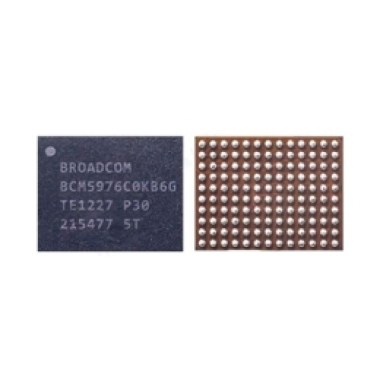 24-01-puce-bcm5976-tactile-pour-apple-ipad-air-2-a1566-a1567.jpg
