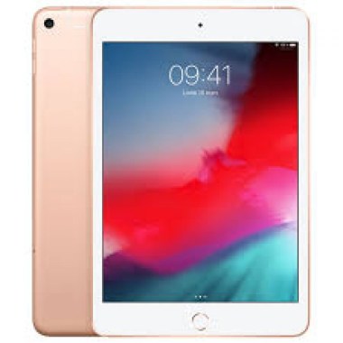 24-01-tablette-apple-ipad-mini5.jpg
