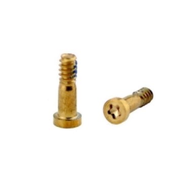 24-01-vis-torx-or-x10-pour-apple-iphone-6splus-a1634-a1687-a1699.jpg