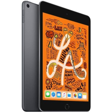 24-02-apple-ipad-mini-5-gris-sideral-256-go-wifi-reconditionne-grade-a.jpg