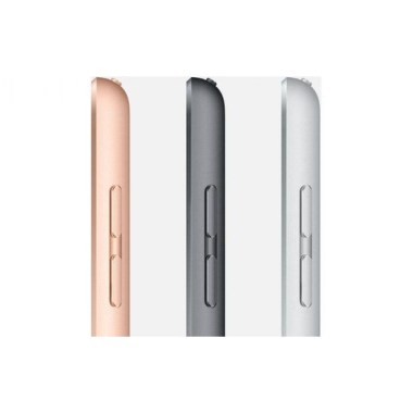 24-03-apple-ipad-air-gris-sideral-32-go-wifi-plus-cellular-reconditionne-grade-b.jpg