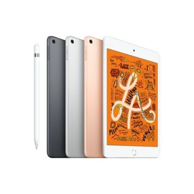 24-03-apple-ipad-mini-5-gris-sideral-256-go-wifi-plus-cellular-reconditionne-grade-b.jpg
