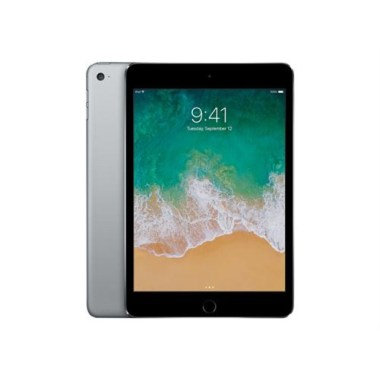 24-03-apple-ipad-mini-gris-sideral-16-go-wifi-plus-cellular-reconditionne-grade-b.jpg