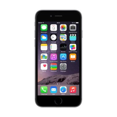 24-03-apple-iphone-6-gris-sideral-64-go-neuf.jpg
