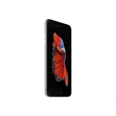 24-03-apple-iphone-6s-plus-gris-sideral-16-go-reconditionne-grade-a.jpg