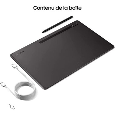 24-03-samsung-galaxy-tab-s8-ultra-256-go-wifi-x900-gris-sideral-reconditionne-grade-aplus.jpg