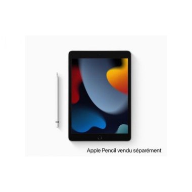 24-04-apple-ipad-9-10-2p-argent-64-go-wifipluscellular-mk493ty-a-neuf.jpg