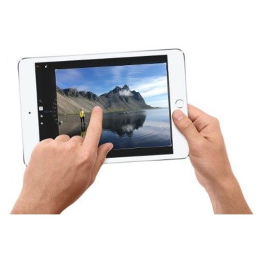 24-04-apple-ipad-mini-4-gris-sideral-128-go-wifi-plus-cellular-reconditionne-grade-b.jpg