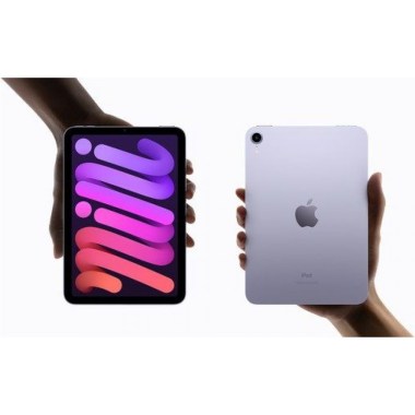 24-04-apple-ipad-mini-5-gris-sideral-256-go-wifi-reconditionne-grade-a.jpg