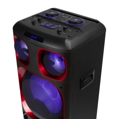24-04-ngs-premium-speaker-wild-ska-3-dj-speaker-1200w-double-subwoofer-15p-compatible-avec-b-technolo-neuf.jpg