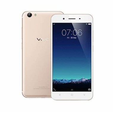 24-01-telephone-portable-vivo-y65.jpg